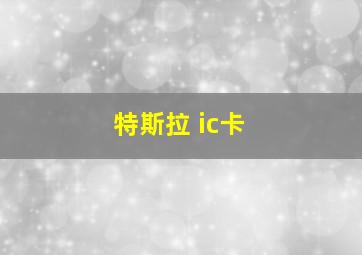 特斯拉 ic卡